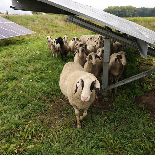 Instalaciones Rurales Off-Grid thumbnail